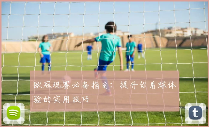 欧冠观赛必备指南:提升你看球体验的实用技巧